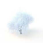 willow  fall tree