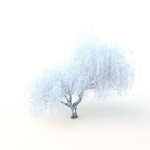 willow  fall tree
