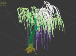 Willow-Plant 13
