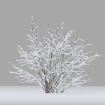 Winter bushes 01