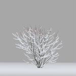 Winter bushes 01