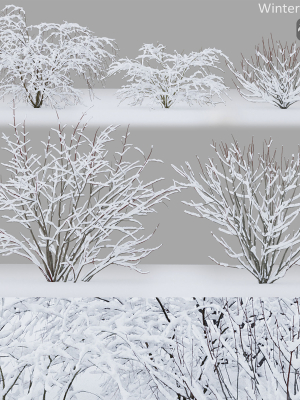 Winter bushes 01