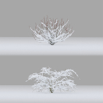 Winter bushes 01