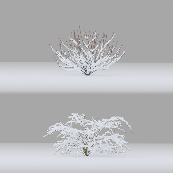 Winter bushes 01