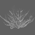 Winter bushes 01
