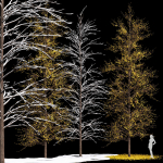 Winter Snow and fall Tree 02