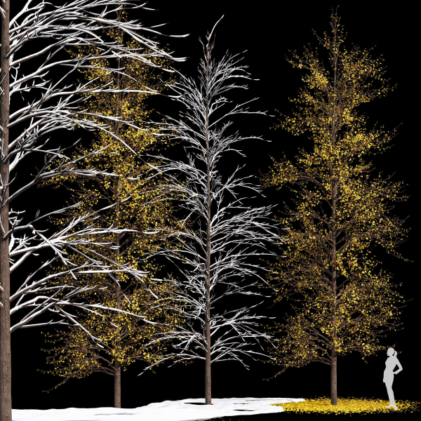 Winter Snow and fall Tree 02
