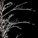 Winter Snow and fall Tree 02