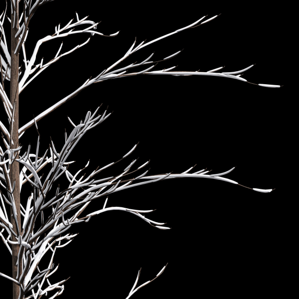 Winter Snow and fall Tree 02