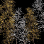 Winter Snow and fall Tree 02