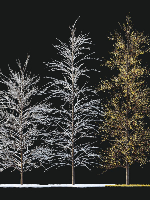 winter-snow-and-fall-tree-02-3d-model-850bebadb7