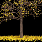 Winter Snow and fall Tree 02