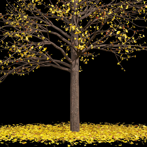 Winter Snow and fall Tree 02