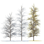 Winter Snow and fall Tree 02
