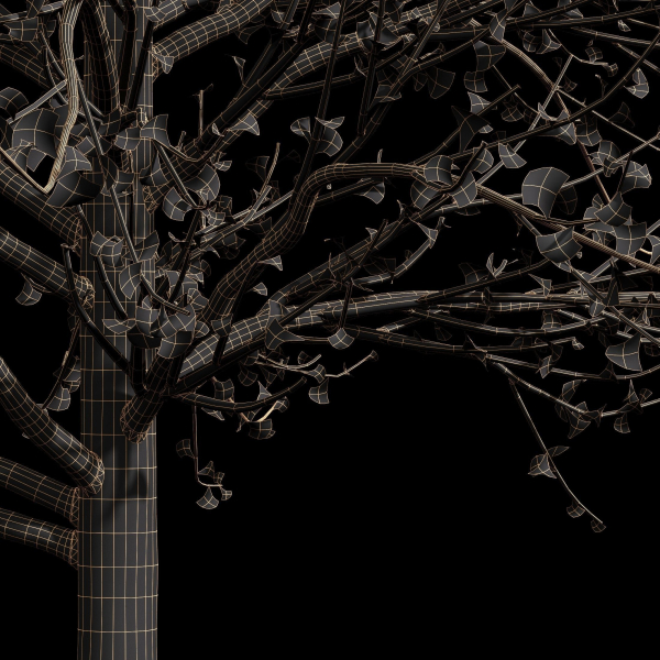 Winter Snow and fall Tree 02