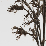 Winter Snow Tree 01