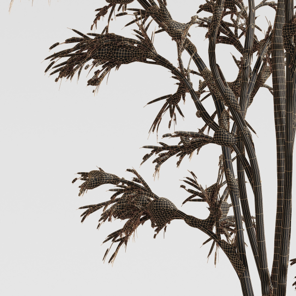 Winter Snow Tree 01