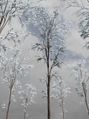 winter-snow-tree-01-3d-model-a6c4f02028