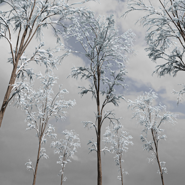 Winter Snow Tree 01
