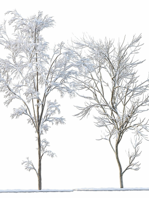 Winter Snow Tree 01