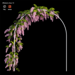 wisterial plant 13 set 01