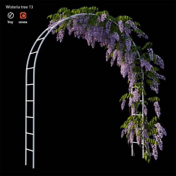 wisterial plant 13 set 01