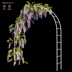 wisterial plant 13 set 01