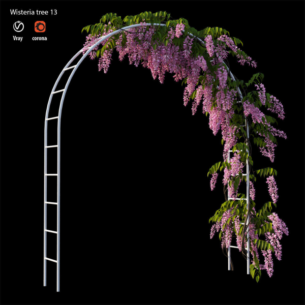 wisterial plant 13 set 01
