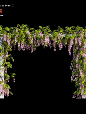 wisterial tree 10  set 01