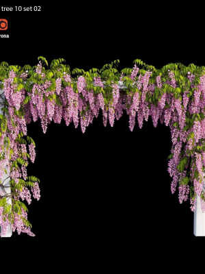 wisterial-tree-10-set-02-3d-model-max-obj-fbx-ma-mat