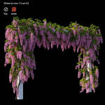 wisterial tree 10 set 02