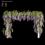 wisterial tree 10 set 02