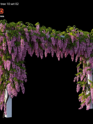 wisterial tree 10 set 02