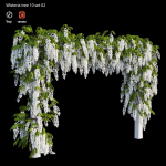 wisterial tree 10 set 02