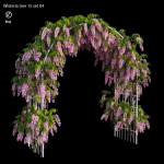 wisterial tree 15 set 04