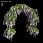 wisterial tree 15 set 04
