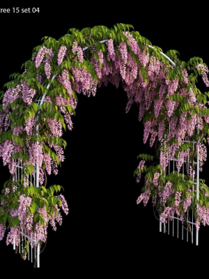 wisterial tree 15 set 04
