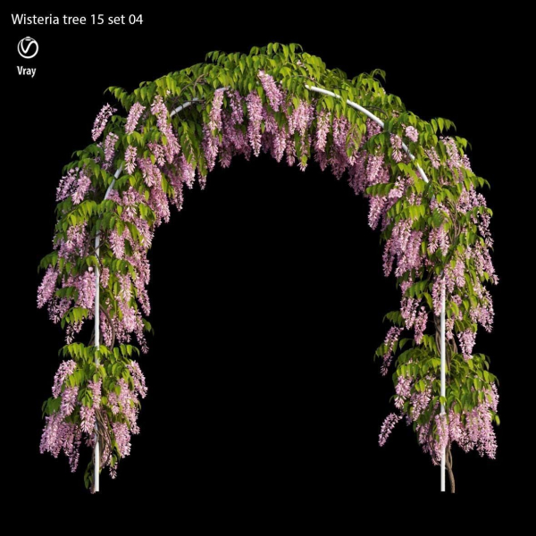 wisterial tree 15 set 04