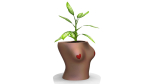 Woman pot 3 - STL FOR 3D PRINTING