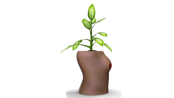 Woman pot 3 - STL FOR 3D PRINTING