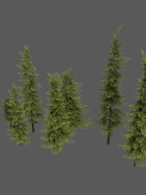 wood-system-3d-model-low-poly-blend
