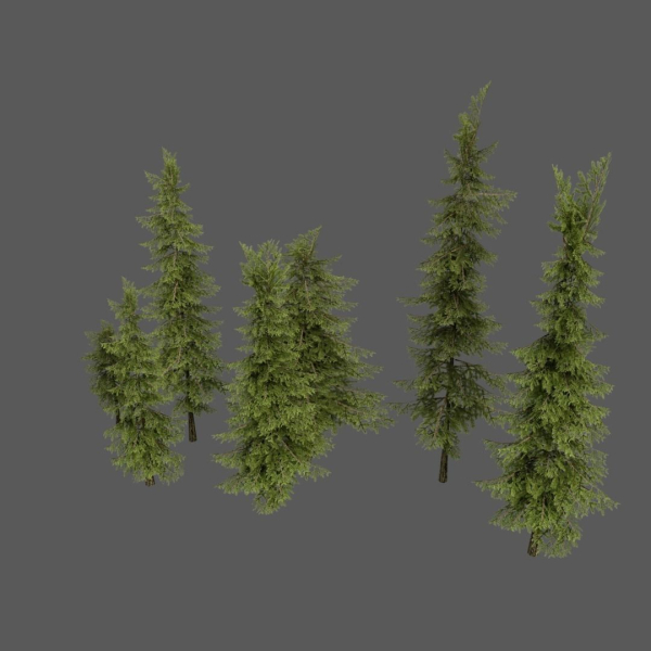 Wood System