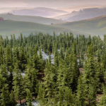 Wood System