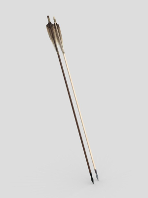 Wooden Arrow 1