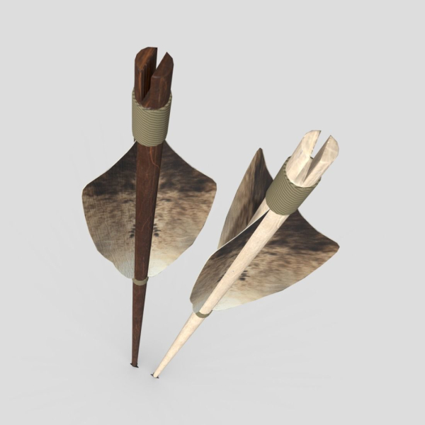 Wooden Arrow 1