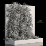 Wooden box ivy plants 01