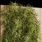 Wooden box ivy plants 01
