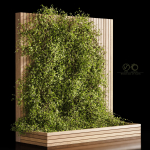 Wooden box ivy plants 01
