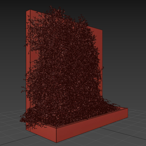 Wooden box ivy plants 01
