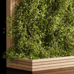 Wooden box ivy plants 01